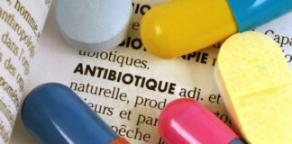Pourquoi les antibiotiques sont inefficaces contre les virus, les raisons expliquées