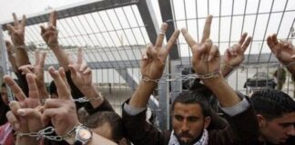 Journée du prisonnier palestinien: Torture, meurtre et viol, un constat alarmant dans les geôles sionistes
