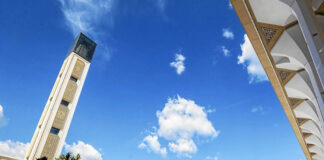 Don: La bibliothèque personnelle de Cheikh « Abdelhamid Ben Badis » sera remise à « Djamaâ El Djazaïr »