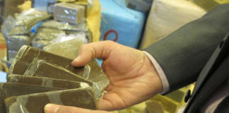Tlemcen: Saisie de 33 kg de cannabis et arrestation de deux personnes