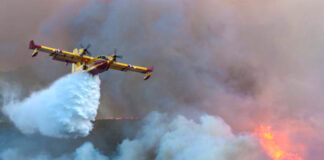 Compagnie Tassili Travail Aérien: 12 avions bombardiers mobilisés en prévision de la campagne de lutte contre les incendies de l’exercice 2024