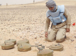Journée pour la sensibilisation au problème des mines: Célébration dans un contexte particulier en Palestine et au Sahara occidental