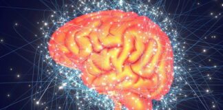 Quelle est la capacité de stockage du cerveau humain ?