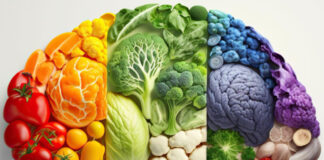 Quel est le meilleur régime alimentaire pour améliorer votre mémoire ?