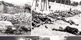 Dans un message à l’occasion du 8 mai 1945: Tebboune met en avant l’intérêt de l’Etat pour la question de la mémoire