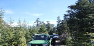 Renforcement des mesures anti-incendie à Relizane: 16 brigades d’intervention et 34 postes de surveillance déployés pour protéger les forêts