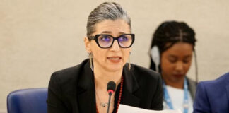 Palestine: Une rapporteuse de l’ONU appelle à rompre les relations diplomatiques avec l’entité sioniste