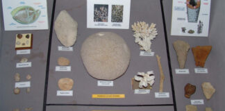 Promotion: Le Musée de géologie de Bejaïa, un temple de la science et du tourisme