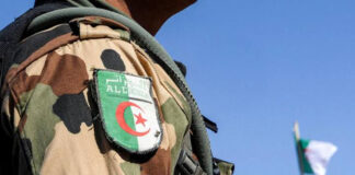 Chlef: Deux terroristes abattus