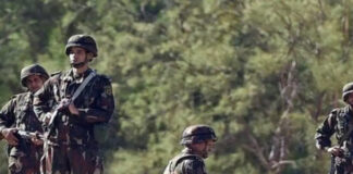 MDN: 2 terroristes abattus, un autre s’est rendu et six éléments de soutien aux groupes terroristes arrêtés en une semaine