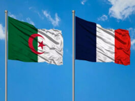 Histoire et Mémoire: La commission mixte algéro-française plaide pour des actions tangibles