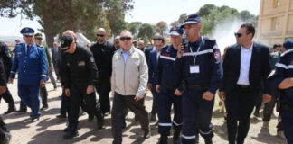 Lutte contre les incendies: Merad appelle à l’intensification des efforts pour protéger les forêts