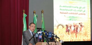 Naâma: Début des travaux de la Rencontre nationale sur les perspectives d’investissement dans les cultures stratégiques