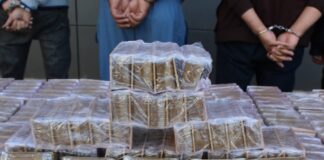 Saisie de plus d’un quintal de kif traité et arrestation de dix individus à Naâma et M’Sila