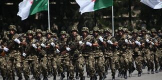 MDN: Un terroriste abattu à Ain Defla