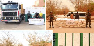 Lutte contre la criminalité et la contrebande: Plusieurs tentatives déjouées par les forces de l’ANP