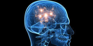 Un cerveau actif peut vous protéger de la démence, mais voici le facteur négatif à ne pas négliger