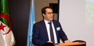 Archéologie: L’archéologue algérien Toufik Hamoum nommé vice-président du Conseil consultatif scientifique et technique