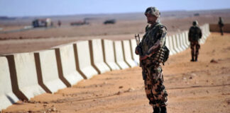 Sécurité des frontières: Les forces de l’ANP poursuivent leur offensive contre les réseaux de déstabilisation