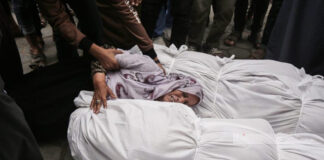 Tout en condamnant le massacre barbare commis par l’entité sioniste dans le camp de Nusseirat à Ghaza: L’Algérie appelle le Conseil de sécurité à assumer ses responsabilités