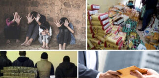 Les différentes formes du crime économique organisé: Un facteur de déstabilisation des Etats