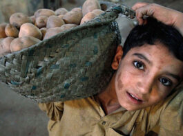 Journée mondiale contre le travail des enfants: Importantes mesures prises par l’Algérie