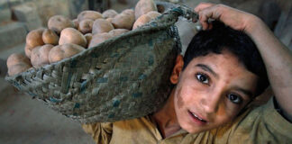 Journée mondiale contre le travail des enfants: Importantes mesures prises par l’Algérie