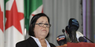 CNESE: La présidente valorise depuis Malte les efforts de l’Algérie dans l’intégration des jeunes dans le processus de développement