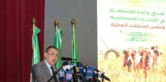 Agriculture: Début à Naâma des travaux de la rencontre nationale sur les perspectives d’investissement dans les cultures stratégiques