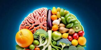 Une étude révèle le lien entre l’alimentation durant les premières années de vie et les capacités cognitives à un âge avancé
