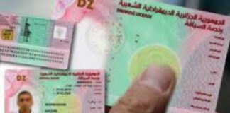 Début de la dernière phase de la généralisation du permis de conduire biométrique