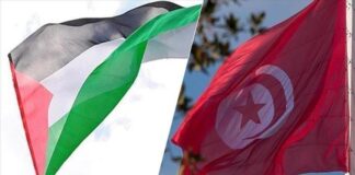 La Tunisie salue la décision de la CIJ sur la Palestine occupée