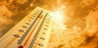 Météo: La canicule persistera dans plusieurs wilayas