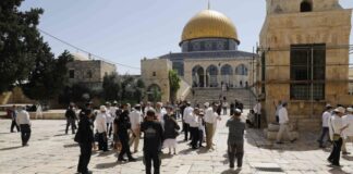 Palestine: Des dizaines de colons sionistes prennent d’assaut l’esplanade de la mosquée Al-Aqsa