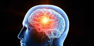 Notre cerveau décode le regard de l’autre en 140 millisecondes