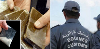 Chlef: 1,3 kg de kif traité et 87 g de cocaïne saisis