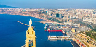 Oran: La coordination des efforts de la jeunesse active à travers les wilayas, bénéfique aux jeunes