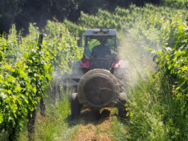 Les Pesticides: Un risque cancérigène équivalent à celui du tabac