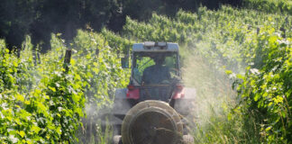 Les Pesticides: Un risque cancérigène équivalent à celui du tabac
