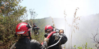 Incendie à la forêt d’El Hammam à Béjaïa: Placement du principal mis en cause en détention provisoire