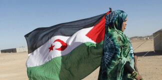Sahara occidental: L’APN dénonce le soutien du Gouvernement français au plan colonial marocain
