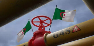 Algérie: Acteur énergétique majeur de l’approvisionnement de l’Europe sous réserve de diminuer la forte consommation interne et réaliser la transition énergétique