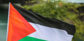 Analyse: La Chine appuie la Palestine
