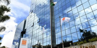 Sonatrach: Projet pilote de plantation de 10 millions d’arbustes pour capter le carbone