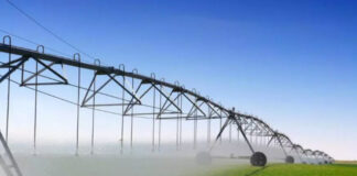 D’une valeur totale de 420 millions d’euros: L’Algérie et l’Italie s’allient pour un vaste projet agricole à Timimoun