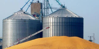 Accélération des travaux pour la construction de silos à grains à Batna: Vers une capacité de stockage accrue