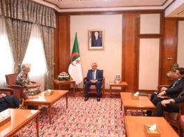 Algérie: Le Premier ministre reçoit l’ambassadrice des Pays-Bas à Alger