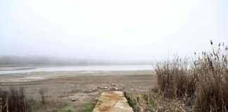 Italie: Manifestation en Sicile contre le manque d’eau causé par la sécheresse