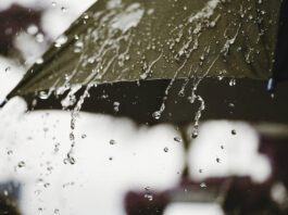 Météo: Pluies orageuses sur plusieurs wilayas de l’Est du pays à partir de cet après-midi
