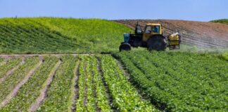 Recensement général de l’agriculture: Plus de 20.000 exploitations agricoles recensées à Relizane